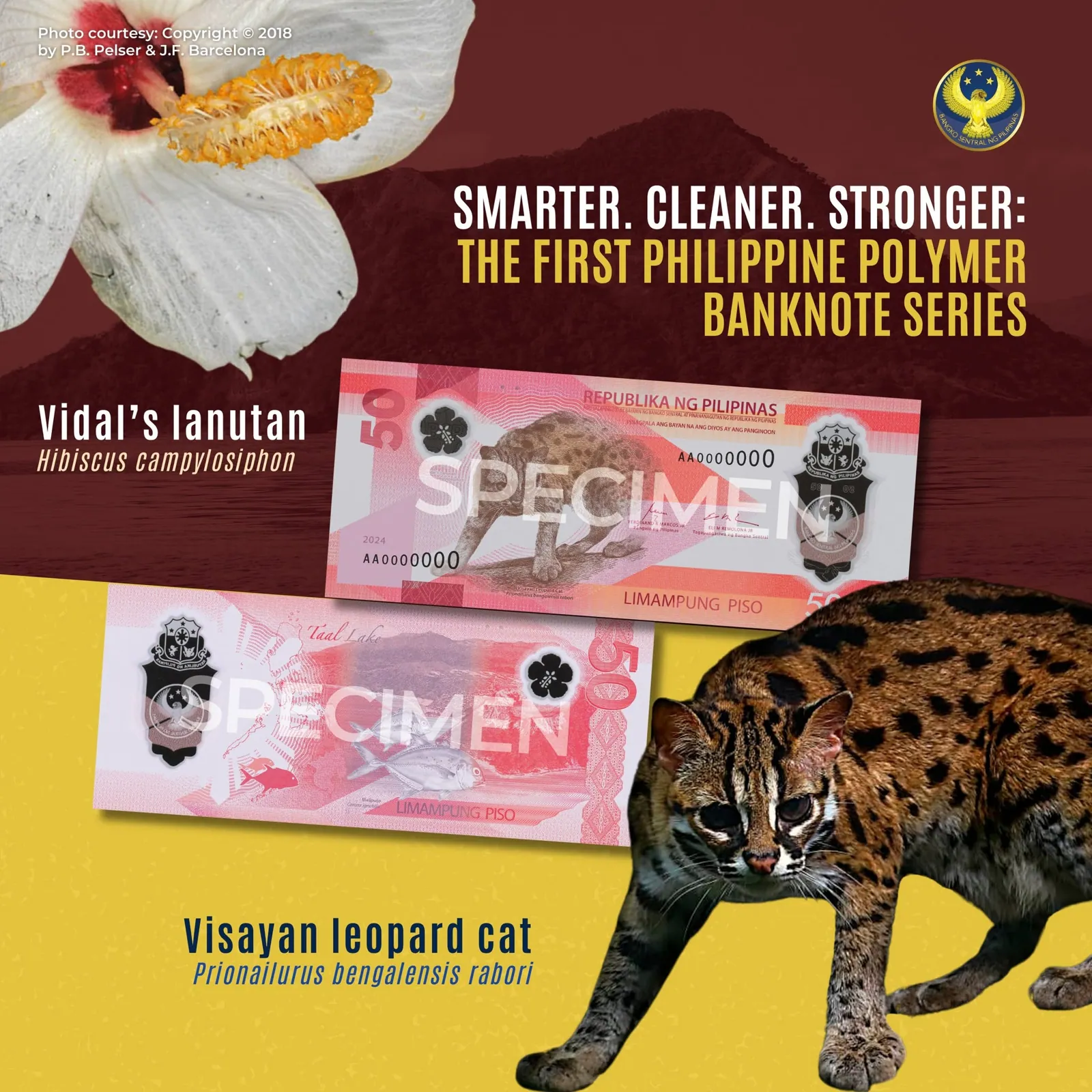₱50 Polymer Banknote — CRB informational poster