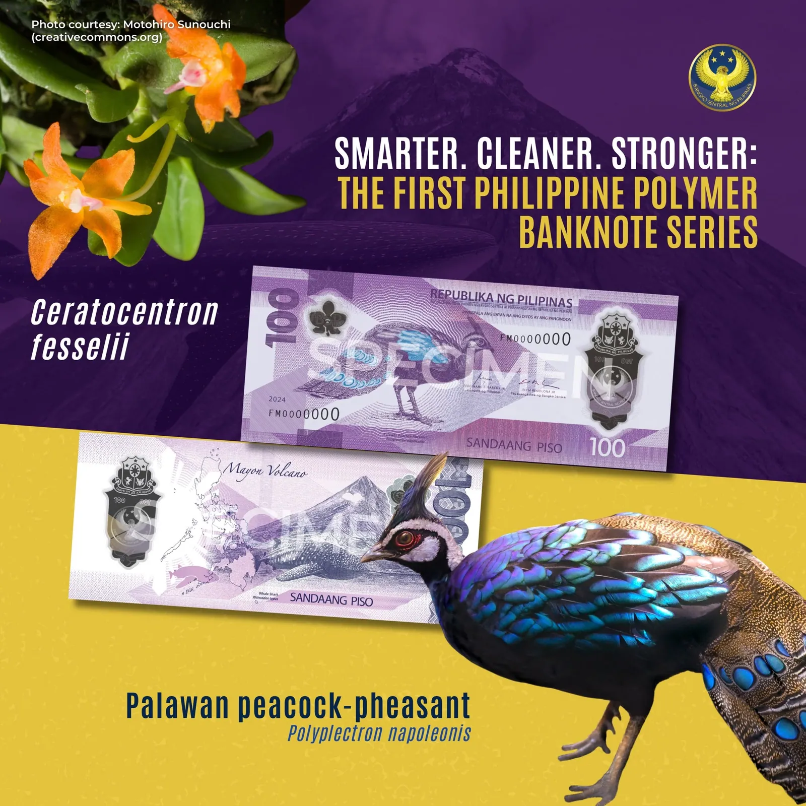 ₱100 Polymer Banknote — CRB informational poster