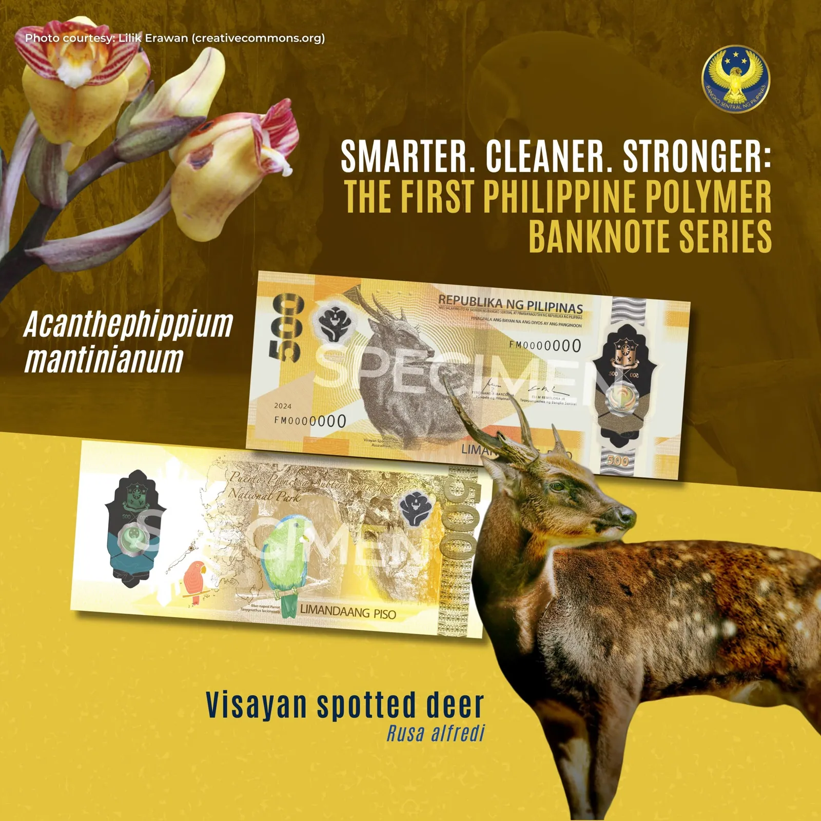 ₱500 Polymer Banknote — CRB informational poster