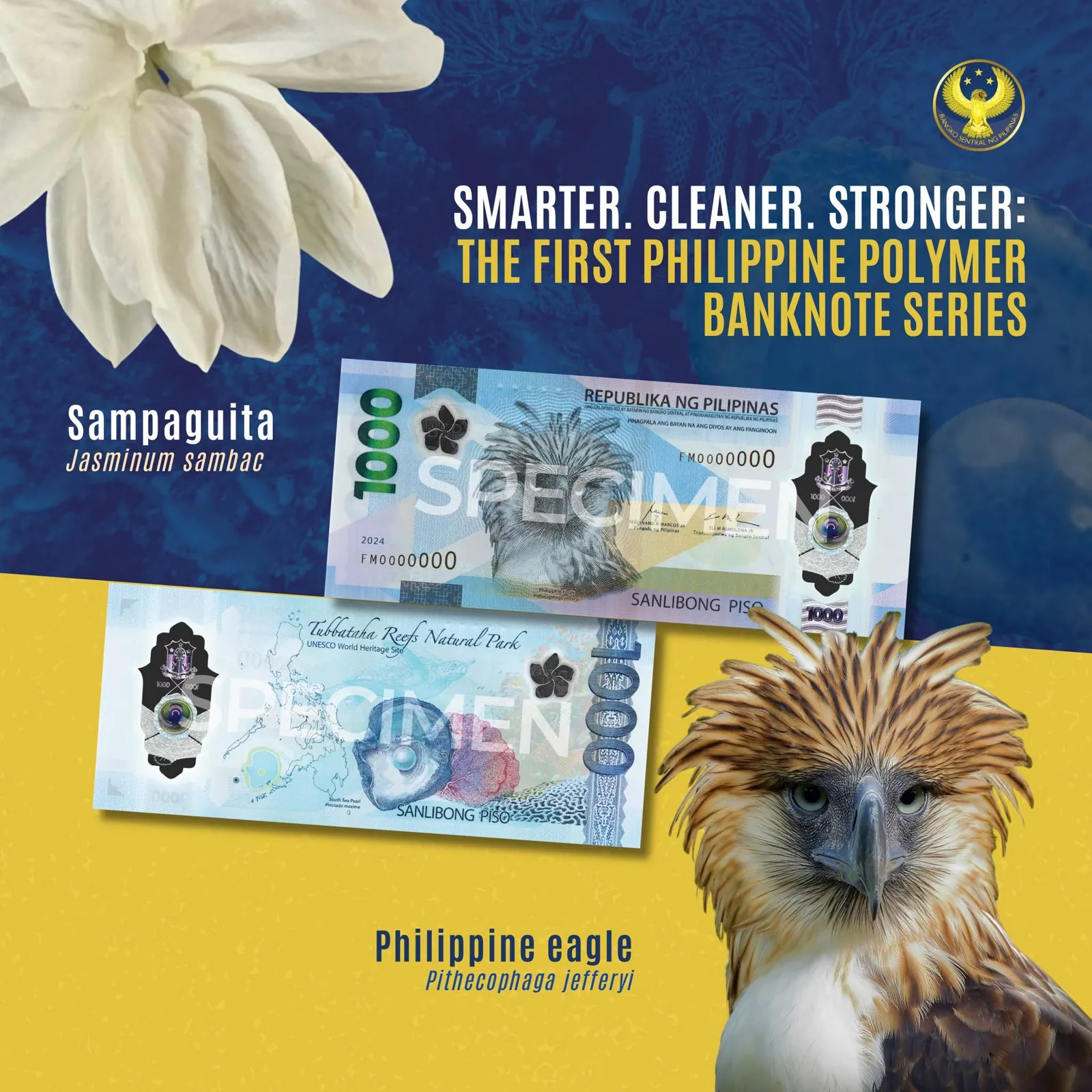 ₱1000 Polymer Banknote — CRB informational poster